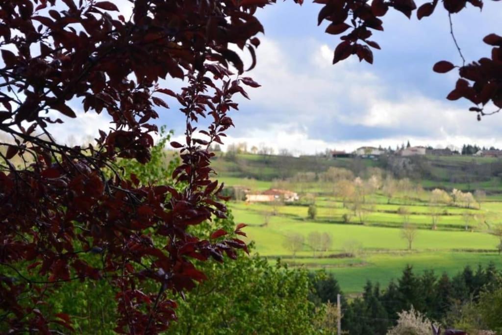 Villa Casa Flo Polignac  Esterno foto